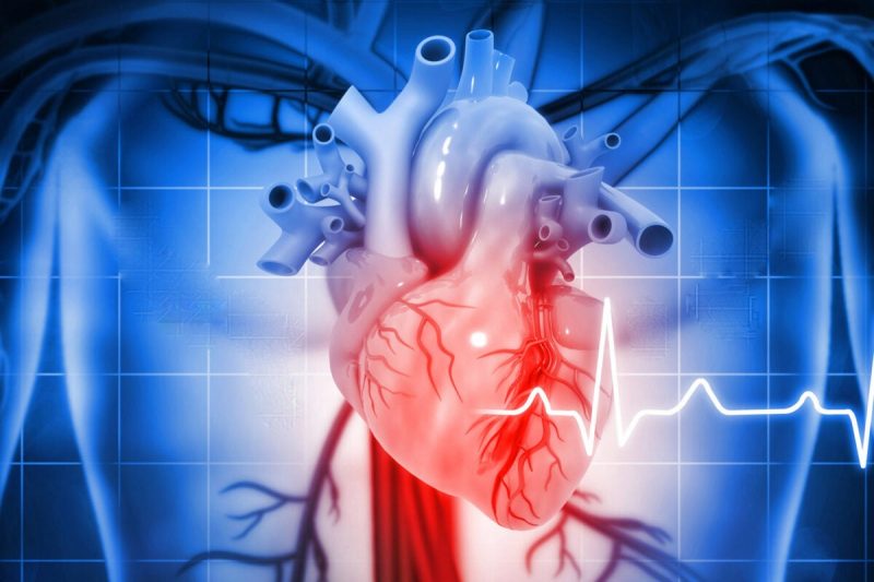 Infertility history linked with increased risk of heart failure