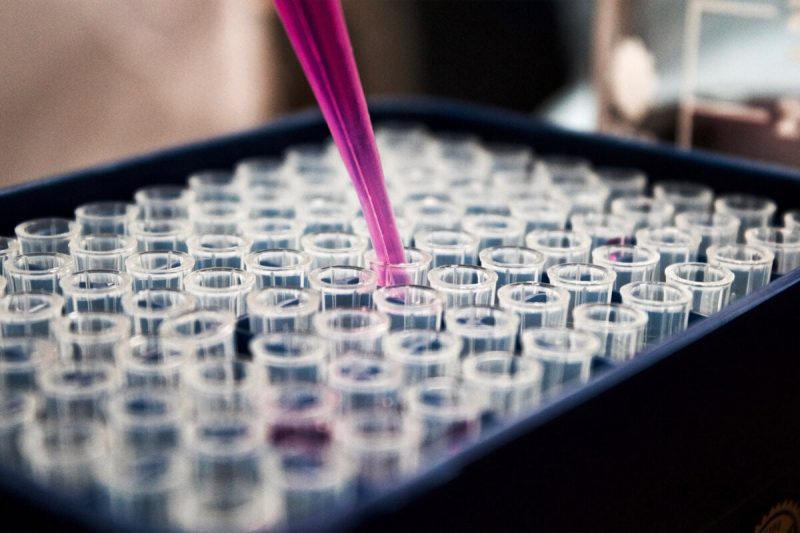 Genetic risk scores developed for six diseases