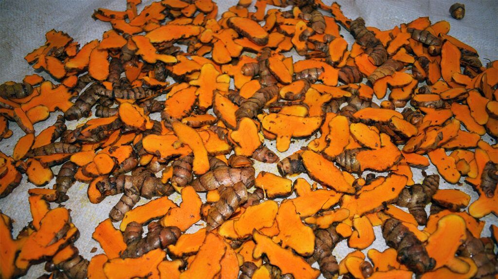 For better weight control in diabetes, turmeric may be the answer