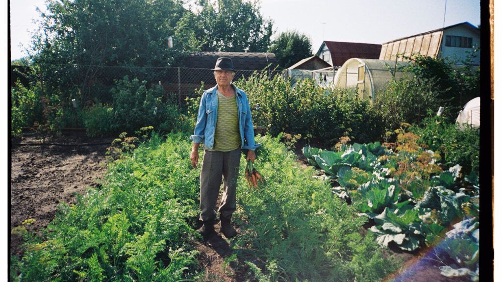 3 diet types may help reduce chronic disease risk in older adults