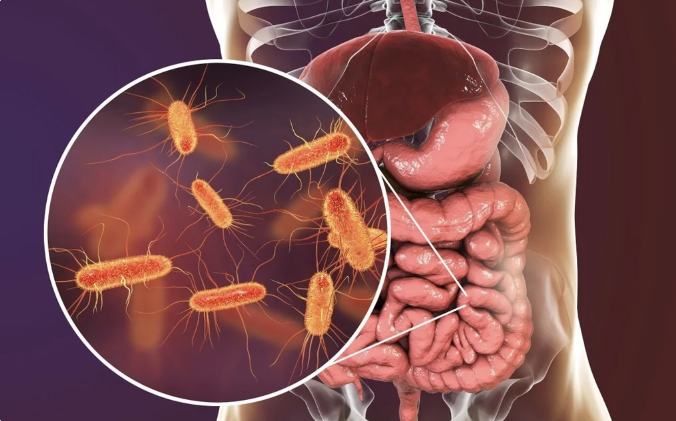 Exploring the Connection Between Gut Health and Meditation