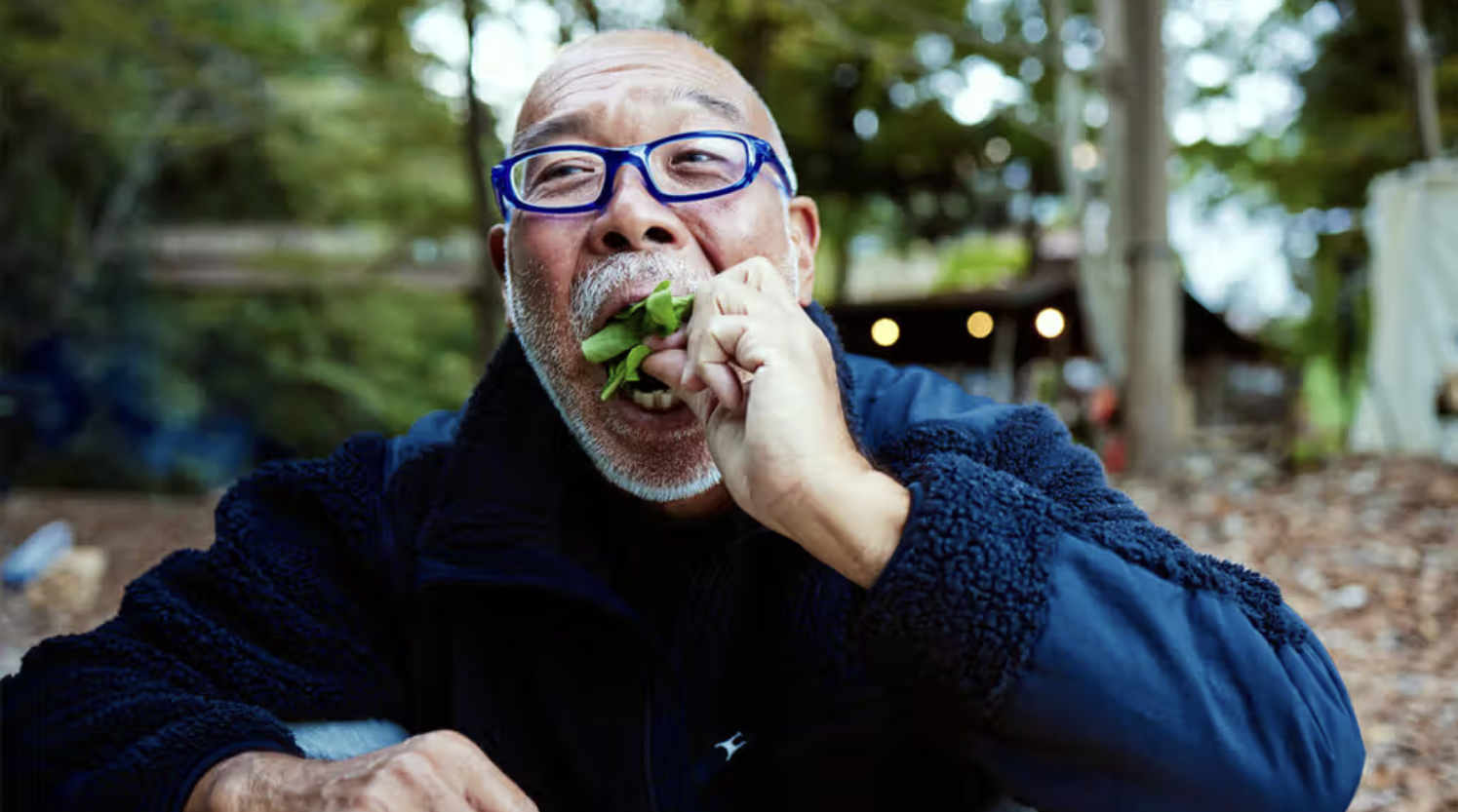 Lower-calorie diet could help keep the brain young, animal study says