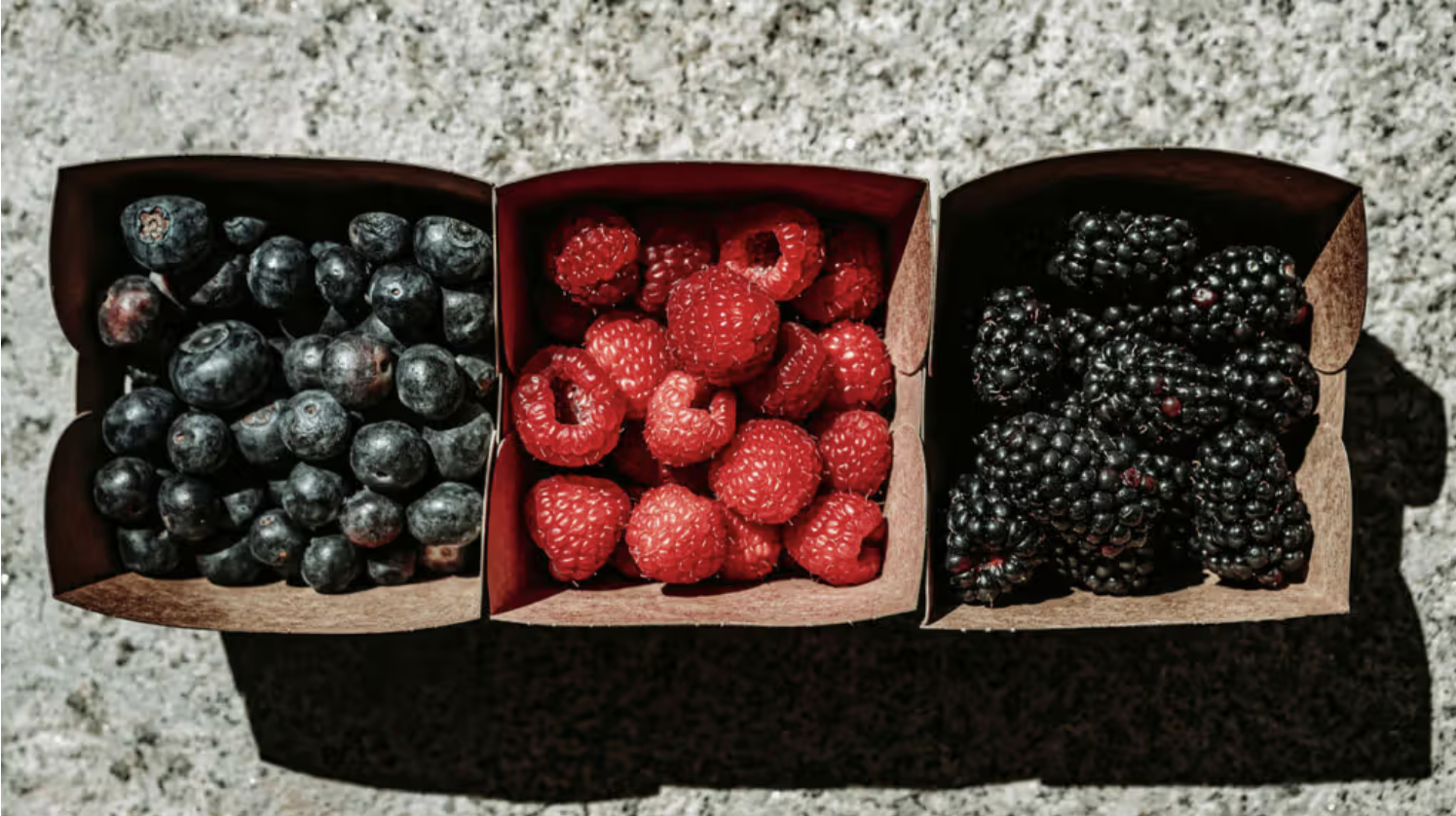 Polyphenol-rich cocoa, coffee, and berries may help support heart health