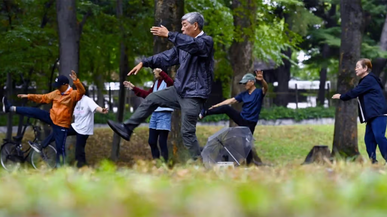Japan becomes first to approve stem cell therapies for Parkinson’s and heart failure