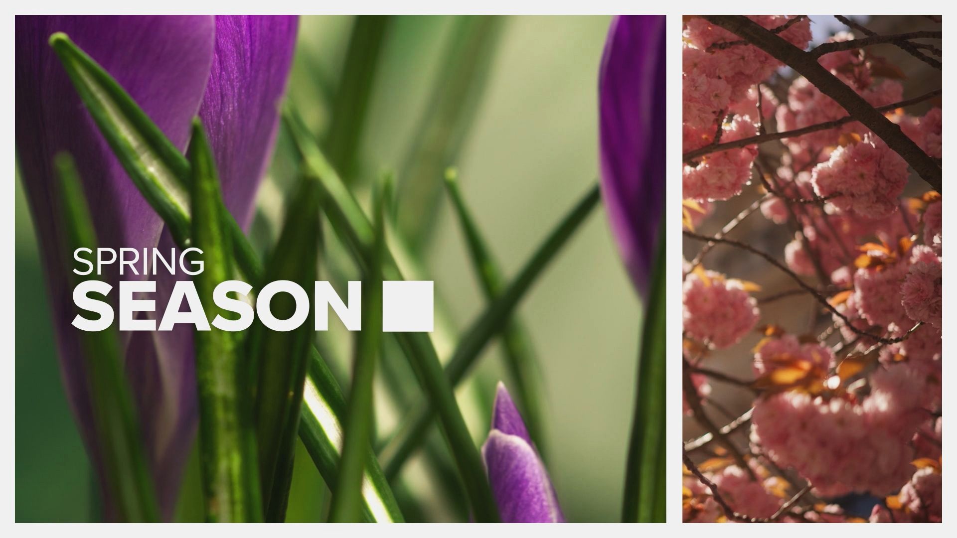 过敏季来临，掌握这些技巧，轻松应对恼人症状