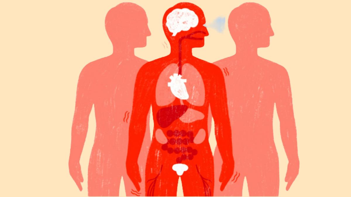 高血压对身体的实际影响：一份来自华盛顿邮报的深度解析