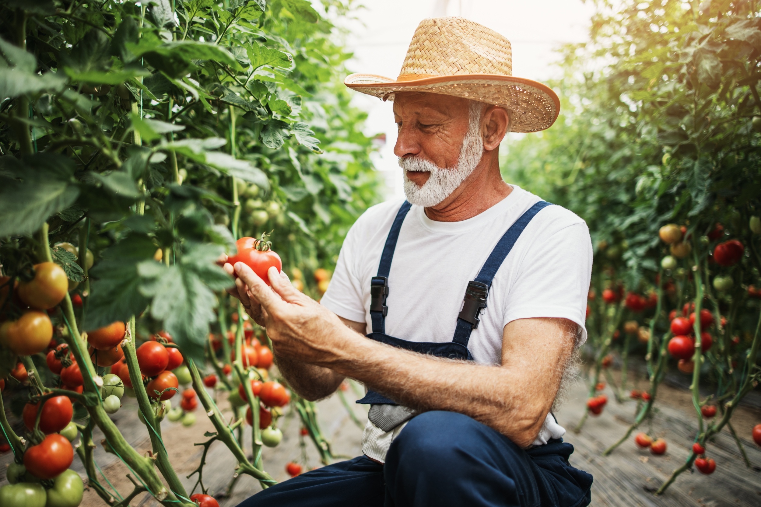 Gardening Linked to Better Brain Health and Fewer Memory Problems