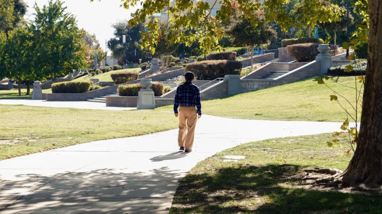 Brain health: Staying more active during the day helps retain brain volume