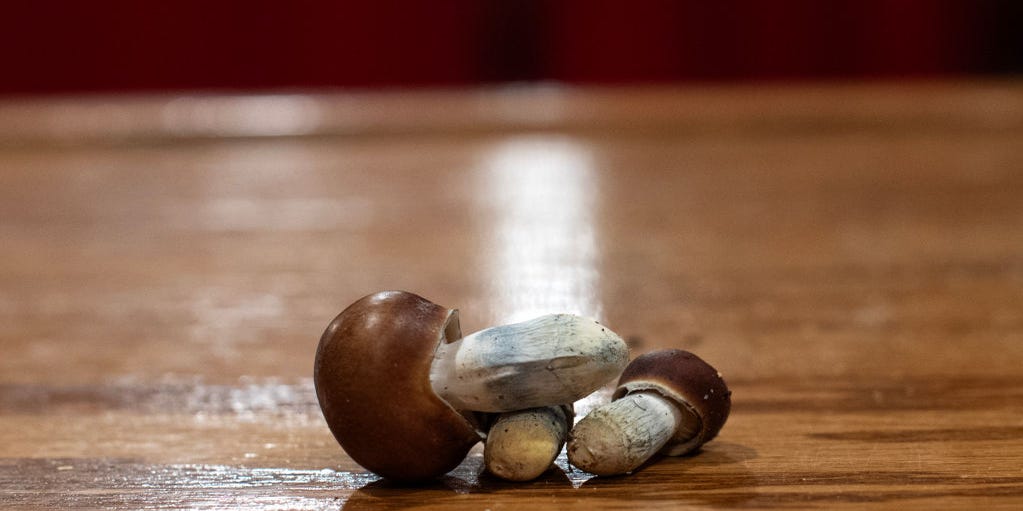The FDA Is Psyched on Psychedelics: Which Ones Will Be Studied and Why?