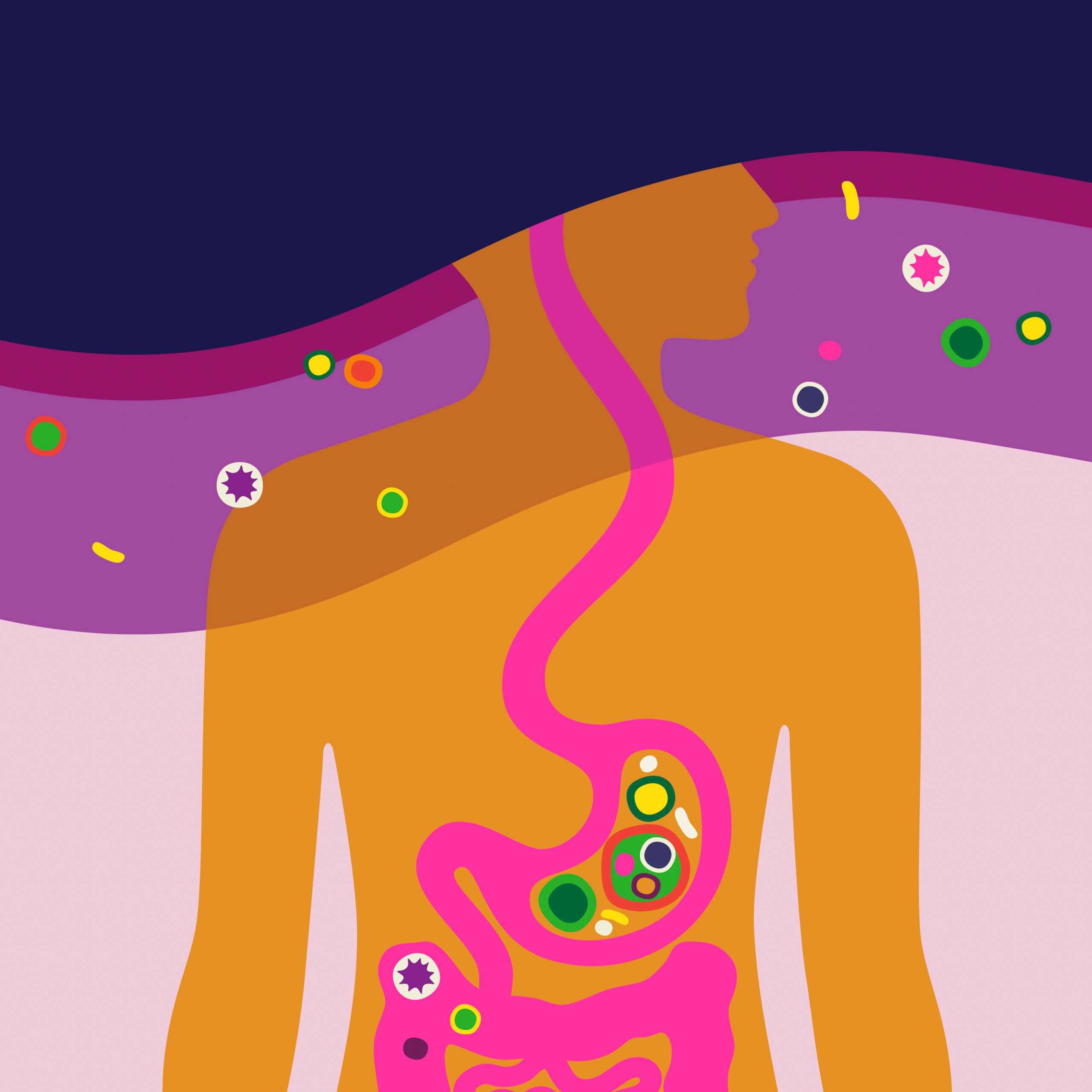 Foggy Brain? Maybe It’s Your Gut