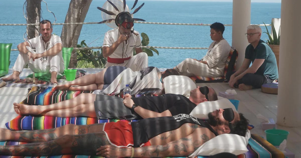 Veterans with PTSD Find New Hope in Psychedelic Retreats: Real Results and Risks