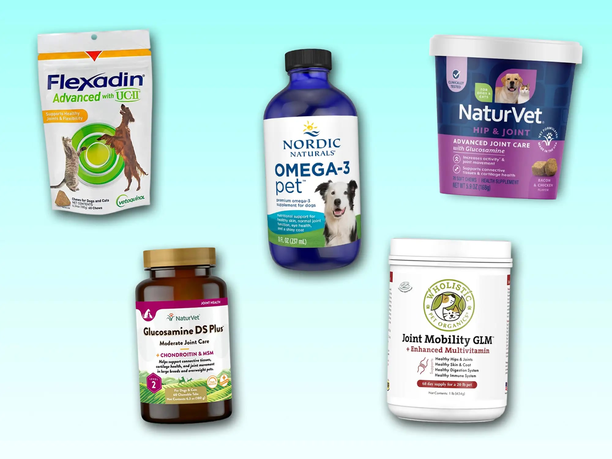 Best Joint Supplements for Dogs: 5 Vet-Recommended Options